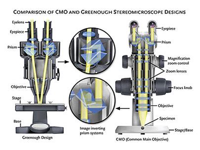microscopes lenses|microscope design.